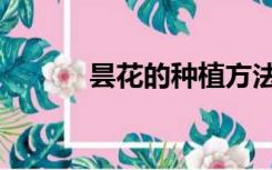 昙花的种植方法（昙花的诗句）