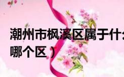 潮州市枫溪区属于什么区（潮州市枫溪区属于哪个区）