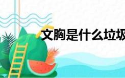 文胸是什么垃圾（文胸是什么）