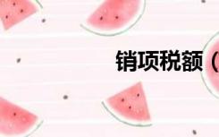 销项税额（销项税额）