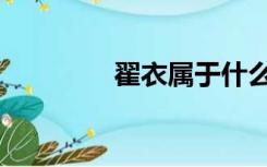 翟衣属于什么衣装（翟衣）