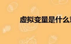 虚拟变量是什么意思（虚拟变量）