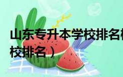 山东专升本学校排名榜最新榜（山东专升本学校排名）