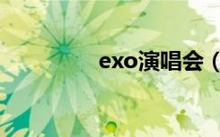 exo演唱会（exo王道吧）