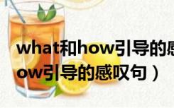 what和how引导的感叹句的区别（what和how引导的感叹句）