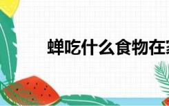 蝉吃什么食物在家养（蝉吃什么）