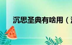 沉思圣典有啥用（沉思圣典有什么用）