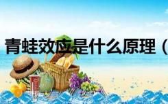 青蛙效应是什么原理（青蛙效应是什么意思）