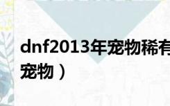 dnf2013年宠物稀有装备礼盒（dnf2013年宠物）