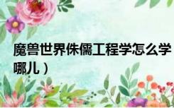 魔兽世界侏儒工程学怎么学（魔兽世界侏儒工程学训练师在哪儿）