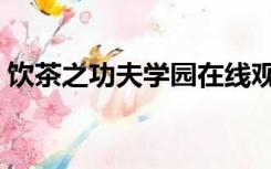 饮茶之功夫学园在线观看（饮茶之功夫学园）