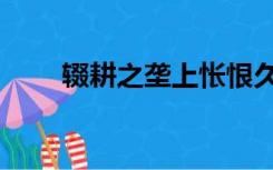 辍耕之垄上怅恨久之（辍耕之垄上）