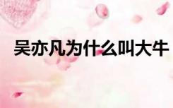吴亦凡为什么叫大牛（吴亦凡为什么叫牛）