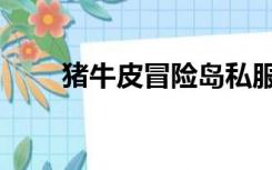 猪牛皮冒险岛私服（猪牛皮冒险岛）