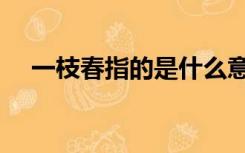 一枝春指的是什么意思（一枝春指的是）
