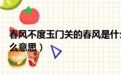 春风不度玉门关的春风是什么意思（春风不度玉门关度是什么意思）