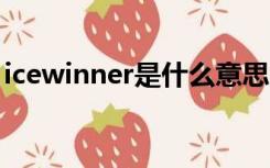 icewinner是什么意思（winner是什么意思）