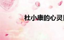 杜小康的心灵日记（杜小康）