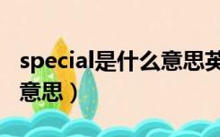 special是什么意思英语翻译（special是什么意思）