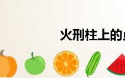 火刑柱上的贞德（火刑）