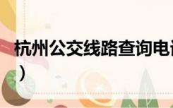 杭州公交线路查询电话（杭州公交线路查询网）
