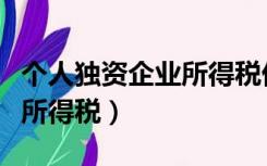 个人独资企业所得税优惠政策（个人独资企业所得税）