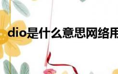 dio是什么意思网络用语（dio是什么意思）