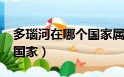 多瑙河在哪个国家属哪个洲?（多瑙河在哪个国家）