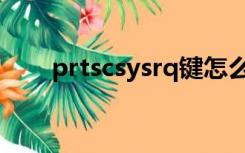 prtscsysrq键怎么用（prtscsysrq）