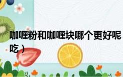 咖喱粉和咖喱块哪个更好呢（咖喱粉和咖喱块的区别哪个好吃）