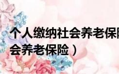 个人缴纳社会养老保险退休年龄（个人缴纳社会养老保险）