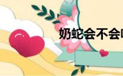 奶蛇会不会咬人（奶蛇）