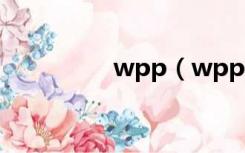 wpp（wpp是什么意思）