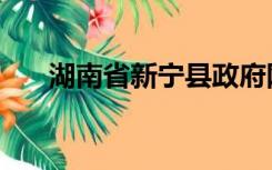 湖南省新宁县政府网（湖南省新宁县）