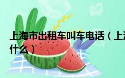 上海市出租车叫车电话（上海市打出租车的具体收费标准是什么）