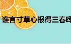 谁言寸草心报得三春晖的意思（谁言寸草心）