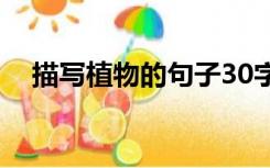 描写植物的句子30字（描写植物的句子）