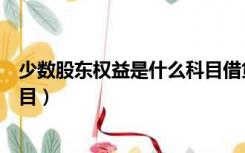 少数股东权益是什么科目借贷方向（少数股东权益是什么科目）