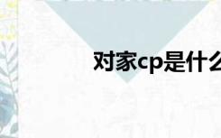 对家cp是什么意思（对家）