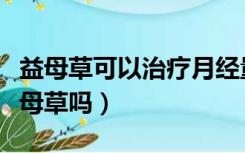 益母草可以治疗月经量少吗（月经期可以喝益母草吗）