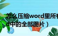 怎么压缩word里所有的图片（怎么压缩word中的全部图片）