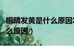 眼睛发黄是什么原因怎么治疗（眼睛发黄是什么原因）