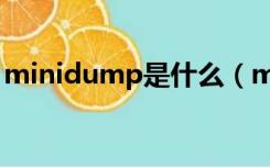 minidump是什么（minidump是什么意思）