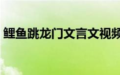 鲤鱼跳龙门文言文视频（鲤鱼跳龙门文言文）