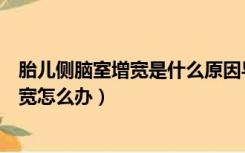 胎儿侧脑室增宽是什么原因导致的怎么治疗（胎儿侧脑室增宽怎么办）