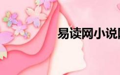 易读网小说网（易读网）