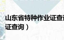 山东省特种作业证查询系统（山东省特种作业证查询）