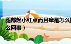 腿部起小红点而且痒是怎么回事（腿上长小红点不痛不痒怎么回事）