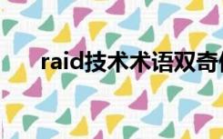 raid技术术语双奇偶校验（raid技术）