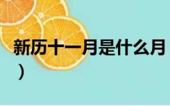 新历十一月是什么月（新历十一月是什么星座）